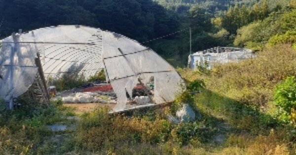전라북도 장수군 장계면 명덕리 OOOO 답 경매 물건 이미지