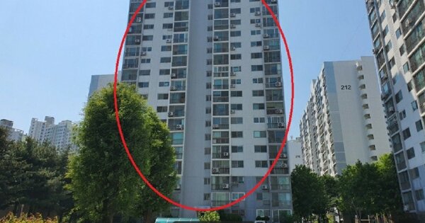 경북 포항시 북구 창포동 645, 206동 OOO OOOOO OOOOOOOOOOOOOOOO O OOO 아파트 경매 물건 이미지