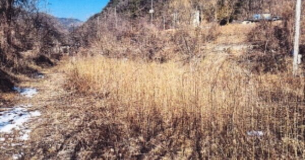 강원도 동해시 신흥동 OOOOO O OOO 답 경매 물건 이미지