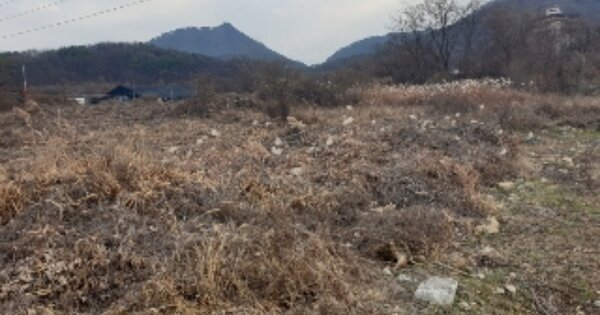 충청북도 충주시 앙성면 돈산리 OOOOOO O OOO 하천 경매 물건 이미지