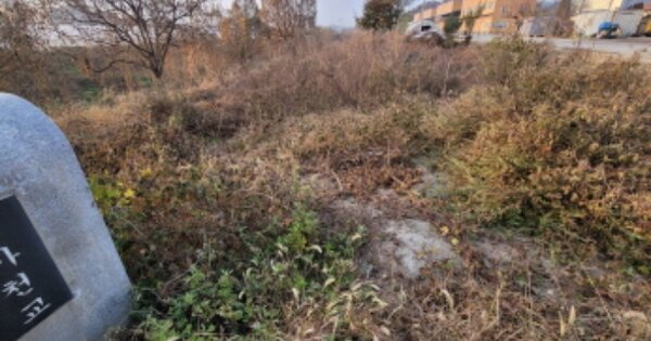 경기도 안성시 원곡면 내가천리 OOOO 전 경매 물건 이미지