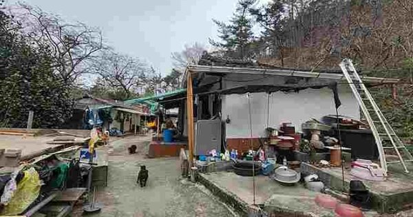 전라남도 순천시 야흥동 OOOOO O OOO 임야 경매 물건 이미지
