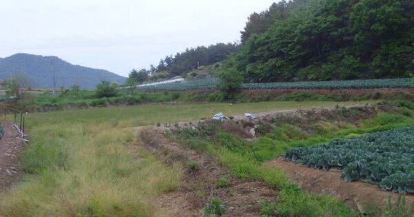 전라남도 해남군 문내면 석교리 OOO 답 경매 물건 이미지