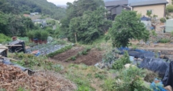 전라남도 광양시 광영동 OOOOO 임야 경매 물건 이미지
