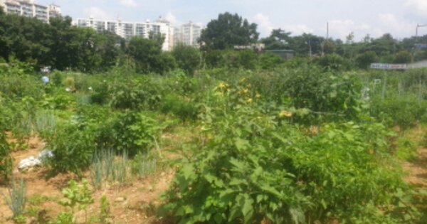 서울특별시 강동구 둔촌동 OOOOO O OOO 전 경매 물건 이미지