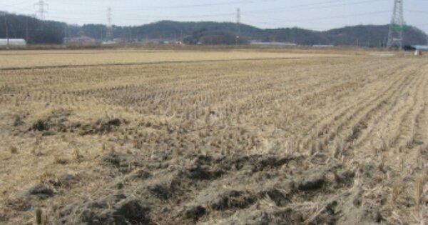 경기도 화성시 비봉면 구포리 OOOO 답 경매 물건 이미지