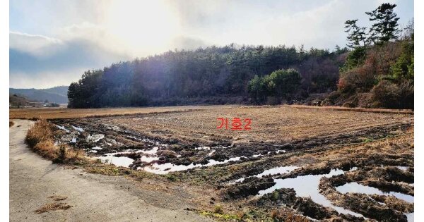 충청남도 당진시 대호지면 송전리 OOOOO 답 경매 물건 이미지