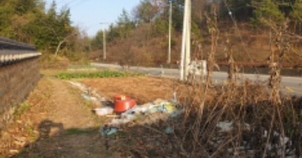 전라남도 보성군 보성읍 우산리 OO 대지 경매 물건 이미지
