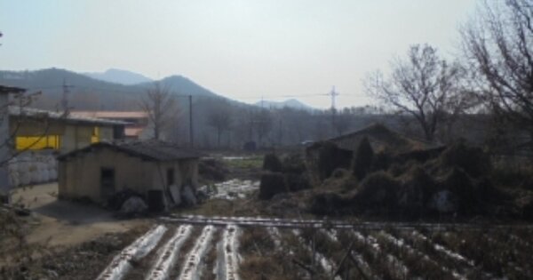충청북도 보은군 산외면 원평리 OOOOOO 대지 경매 물건 이미지