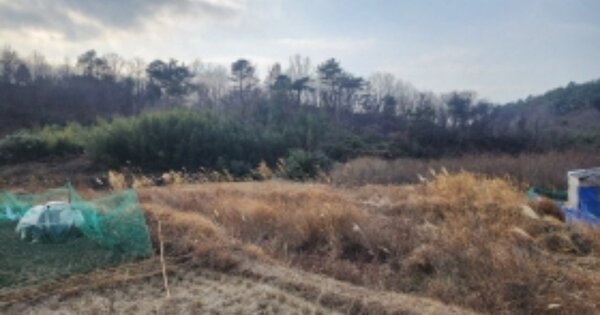 전라남도 여수시 소라면 관기리 OOOOO 답 경매 물건 이미지
