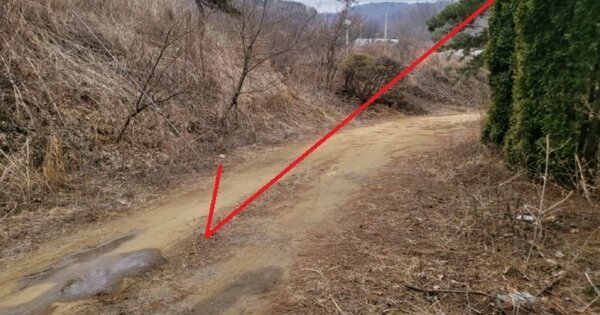 경기도 파주시 적성면 자장리 OOO 단독주택 경매 물건 이미지