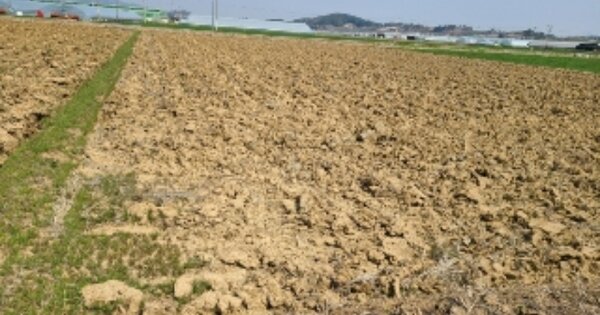 전라남도 나주시 세지면 죽동리 OOO 답 경매 물건 이미지