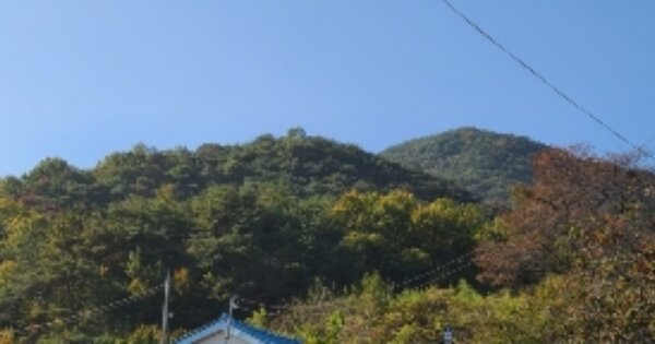전라남도 곡성군 석곡면 봉전리 OOOOO 임야 경매 물건 이미지