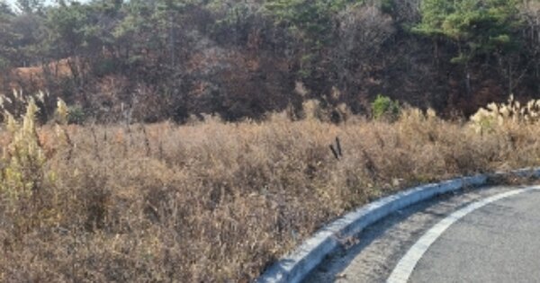 전라남도 화순군 도곡면 천암리 OOO 대지 경매 물건 이미지