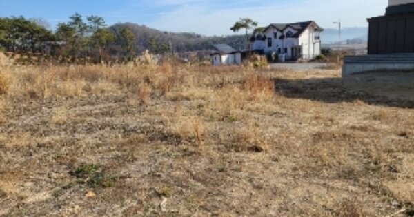 전라남도 화순군 도곡면 천암리 OOO 대지 경매 물건 이미지