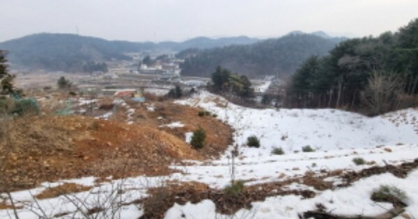 경기도 가평군 설악면 천안리 OOOOOO O OOO 임야 경매 물건 이미지