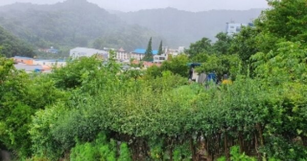 경상남도 창원시 마산회원구 봉암동 OOOOO 전 경매 물건 이미지