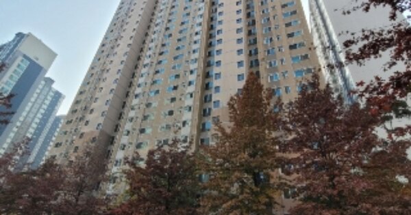 경기 안양시 동안구 호계동 811, 216동 OOOOOOOO OOOOOOOOOOOOOOO O OOO 아파트 경매 물건 이미지