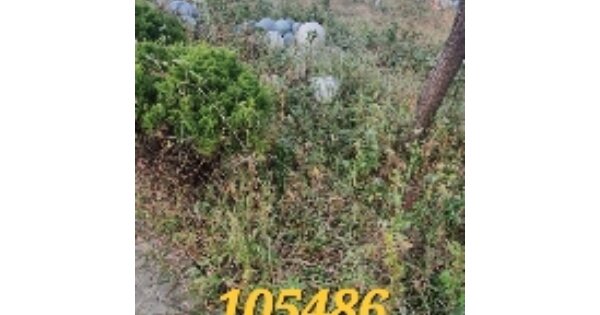 부산광역시 해운대구 중동 OOO 대지 경매 물건 이미지