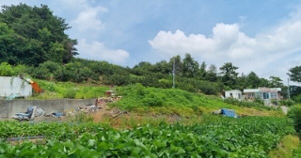 경남 창원시 의창구 북면 화천리 O OO 단독주택 경매 물건 이미지