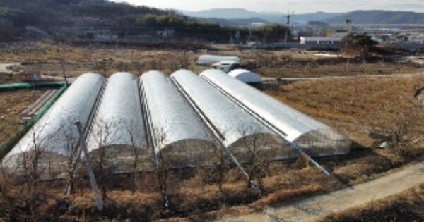 경상북도 김천시 남면 옥산리 OOO O OOO 전 경매 물건 이미지