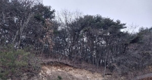 충청남도 공주시 반포면 학봉리 OOO 임야 경매 물건 이미지