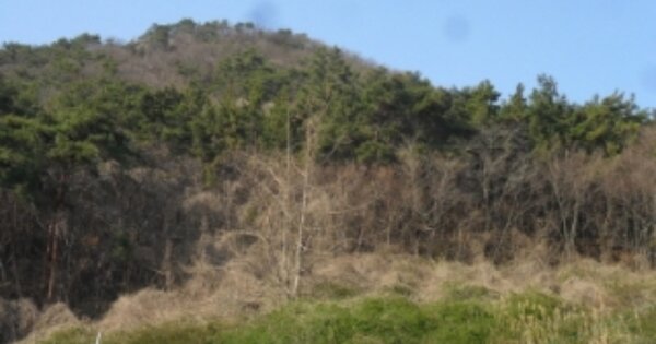 전라북도 부안군 변산면 도청리 OOOOO 전 경매 물건 이미지