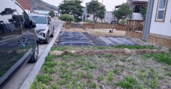 충청남도 청양군 청양읍 교월리 OOOOO 전 경매 물건 이미지