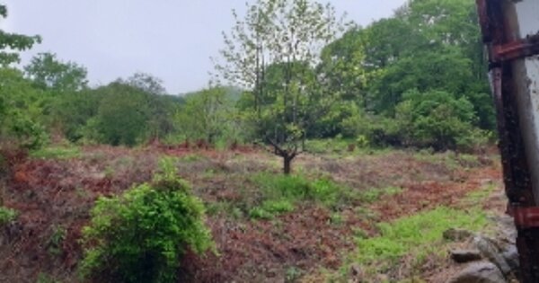 전라북도 남원시 산내면 덕동리 OOO 전 경매 물건 이미지