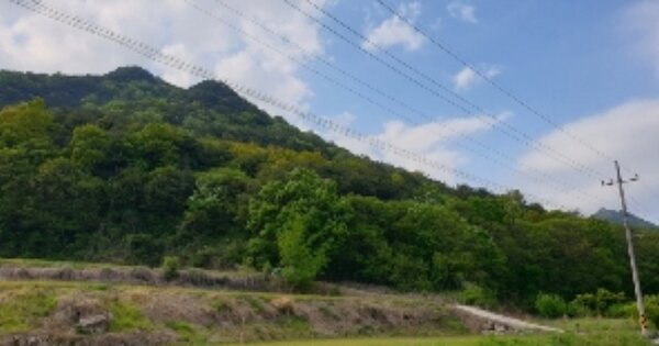 전라북도 순창군 적성면 석산리 OOO O OOO 임야 경매 물건 이미지