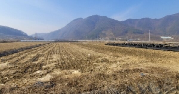충청북도 괴산군 청천면 귀만리 OOOOO 답 경매 물건 이미지