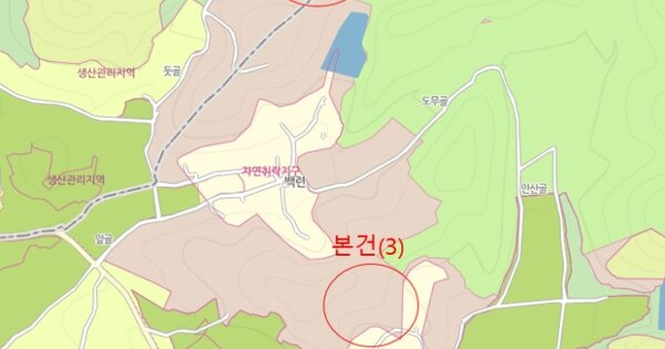 전라남도 함평군 대동면 월송리 OOO 임야 경매 물건 이미지