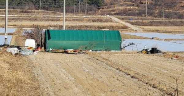 경상북도 영천시 화산면 대안리 OOO O OOO 답 경매 물건 이미지