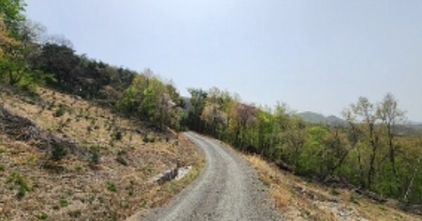 충청남도 보령시 청소면 성연리 OOOOO 임야 경매 물건 이미지