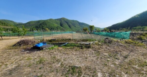 경상북도 영천시 자양면 도일리 OOO 답 경매 물건 이미지