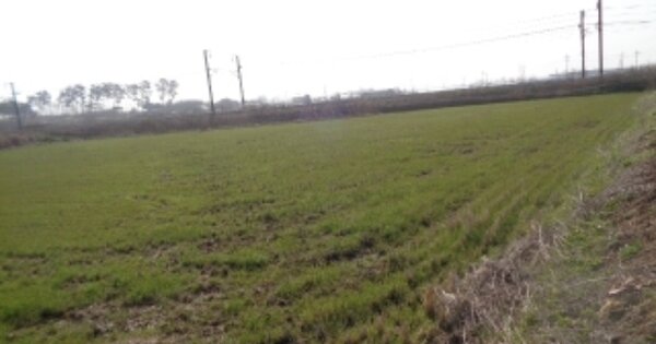 전라북도 김제시 검산동 OOO 답 경매 물건 이미지