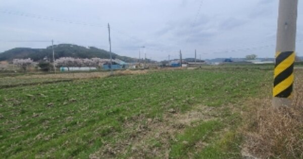 전라남도 나주시 문평면 동원리 OOOOO O OOO 답 경매 물건 이미지