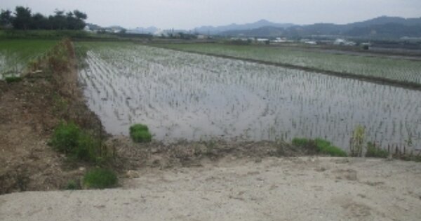 충청북도 청주시 상당구 남일면 효촌리 OOOOO 답 경매 물건 이미지