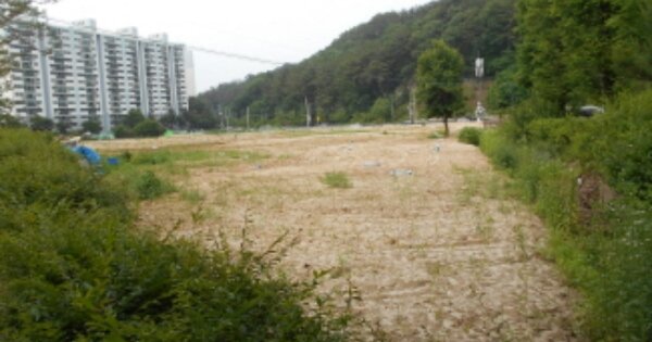 대전광역시 서구 괴곡동 OOO O OOO 전 경매 물건 이미지