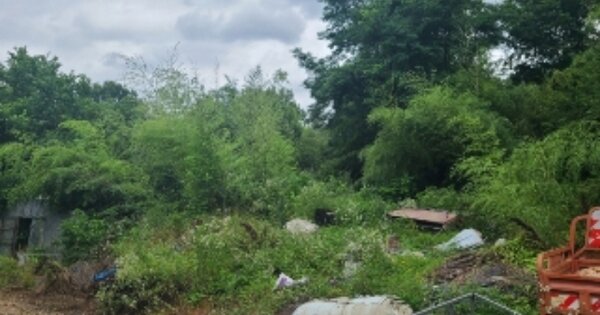 전라남도 담양군 창평면 장화리 OOOOO 임야 경매 물건 이미지