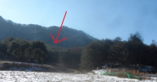 강원도 평창군 진부면 송정리 OOO O OOO 임야 경매 물건 이미지