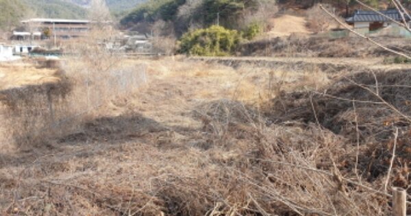 경상남도 합천군 봉산면 계산리 OOOOO 답 경매 물건 이미지
