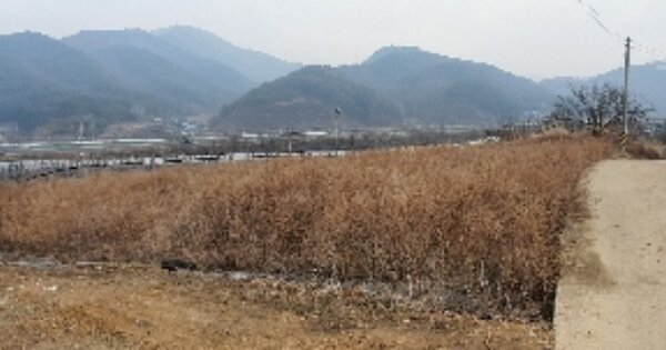 충청북도 영동군 추풍령면 계룡리 OOO O OOO 전 경매 물건 이미지