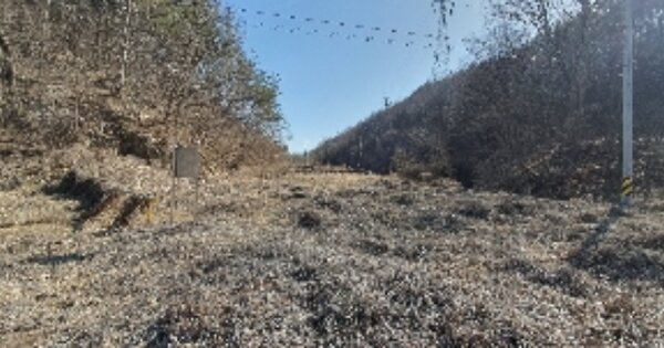 충청북도 옥천군 이원면 용방리 OOO O OOO 답 경매 물건 이미지
