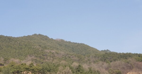 경상남도 함양군 함양읍 대덕리 OOOO 임야 경매 물건 이미지