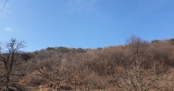 충청남도 예산군 덕산면 상가리 OOOOOO 임야 경매 물건 이미지