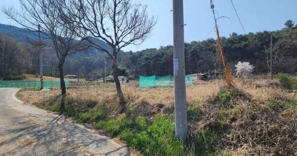 충청남도 보령시 청소면 죽림리 OOO O OOO 전 경매 물건 이미지