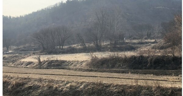 충청남도 청양군 정산면 해남리 OOO 전 경매 물건 이미지