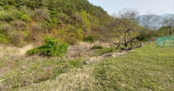 충청남도 공주시 사곡면 해월리 OOO 전 경매 물건 이미지