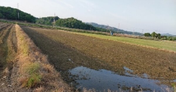 충청남도 청양군 정산면 덕성리 OOOOO 답 경매 물건 이미지
